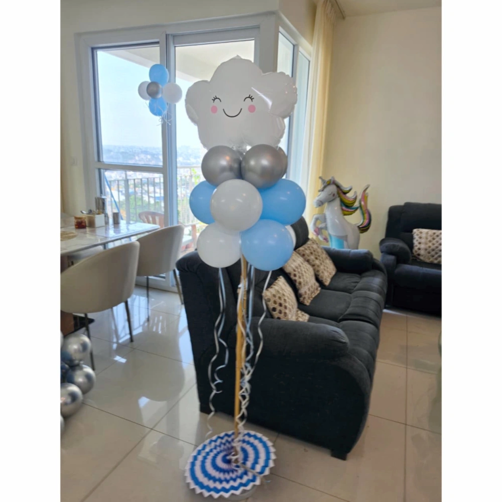 Order baby boy girl welcome decor theme near me